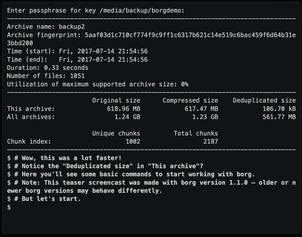 BorgBackup