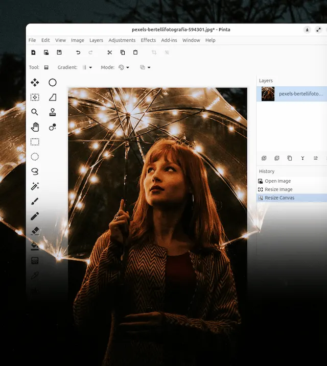 Pinta - бесплатно для macOS