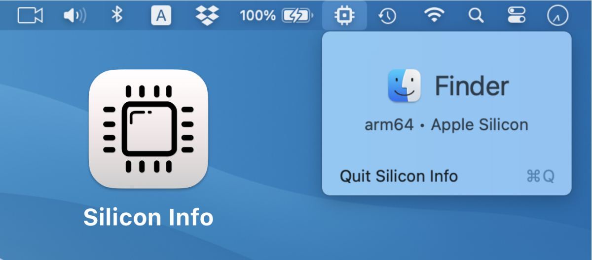 Silicon Info